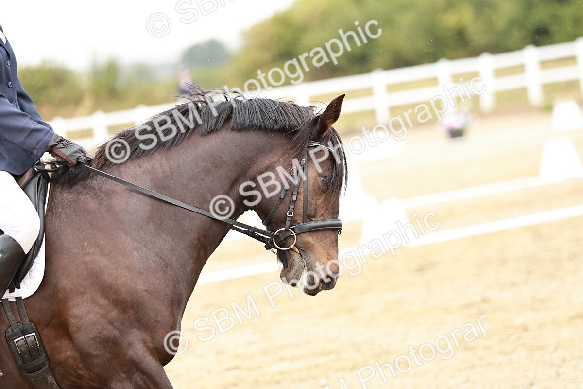 SBM_001205 - Class 5 - P3 Championships 10.34-11.44