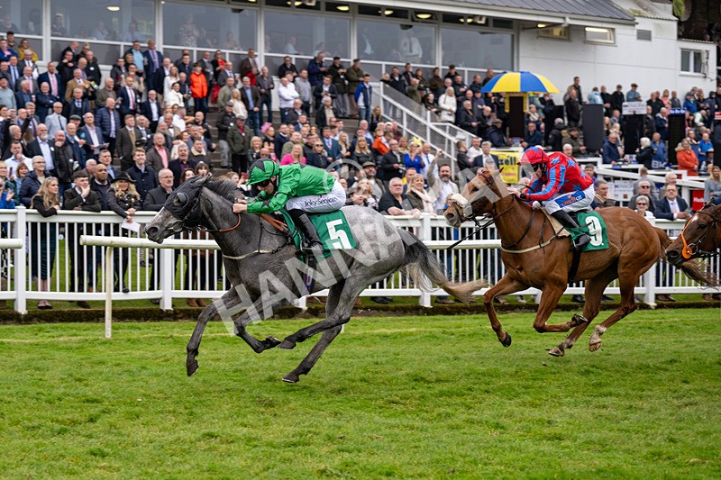 040524-Race 4-Star Of Lady M-4524 - Race 4