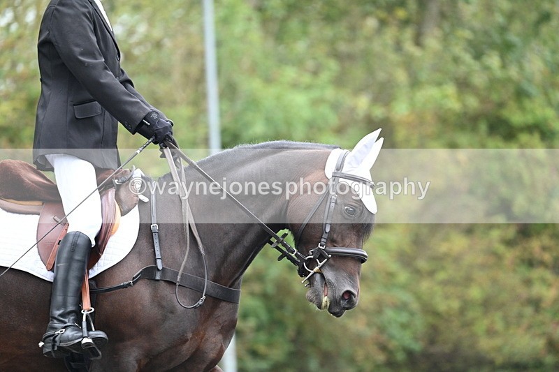 WJ7_3035 - Time 09:00 to 09:35