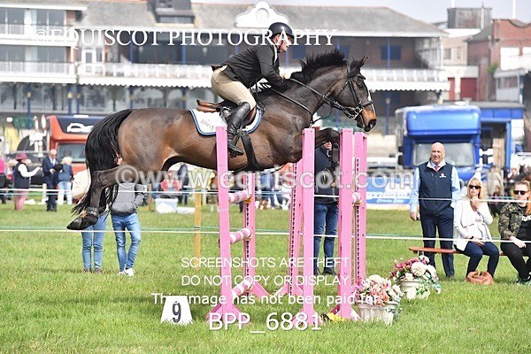 BPP_6881 - CLASS 3 RHS Fox Champ Qual (1.20m)
