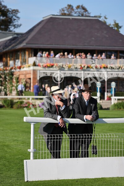 yr08102021r3-20 - Race 3 3.15pm Download The Casumo App Today Handicap