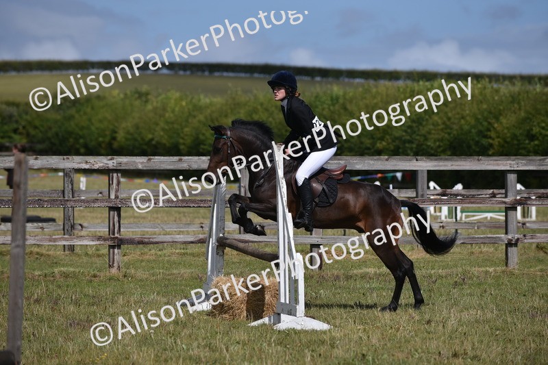 20250831-4025 - Class 12 - Working Hunter Pony 14.2hh and Under