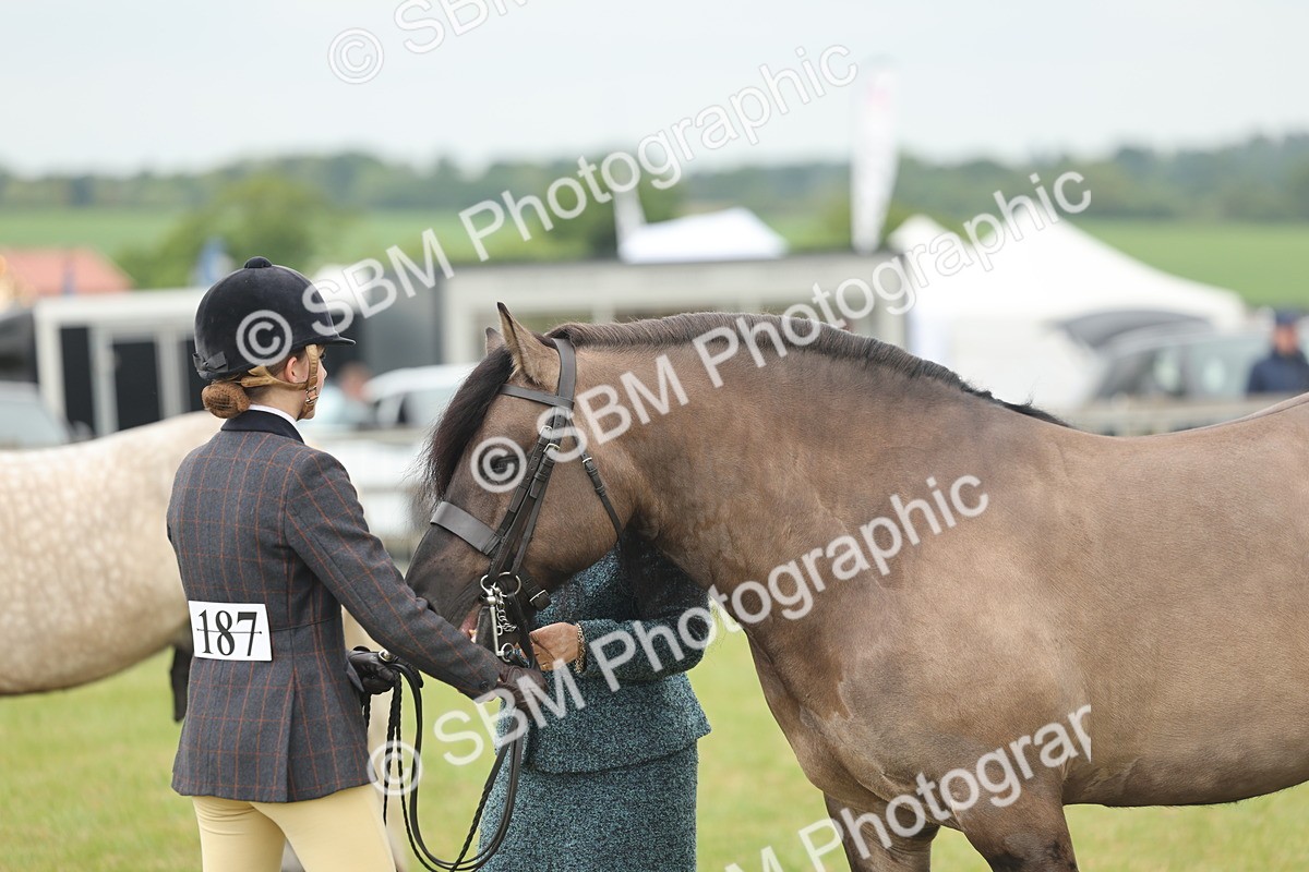 SBM_08988 - Class 78-80 - Ridden M&M Non Welsh Ponies