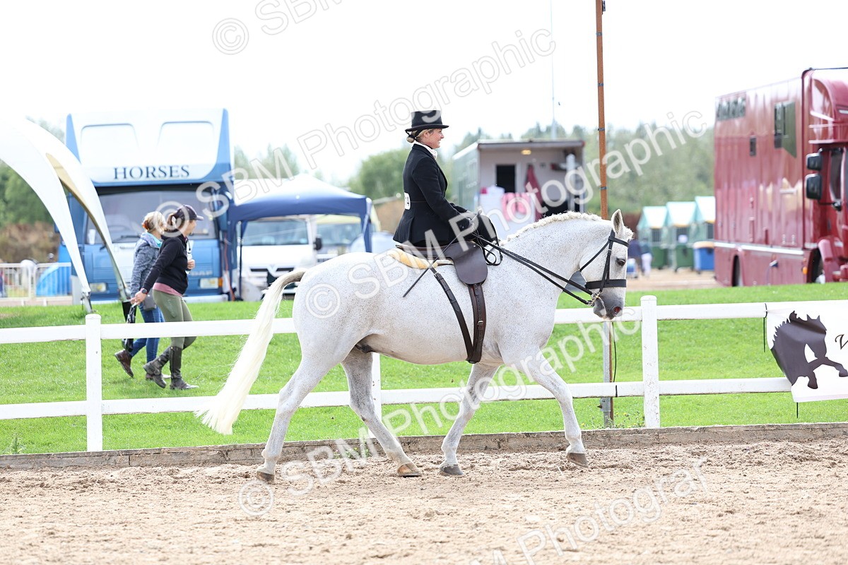 SBM_03386 - Class 24 - SSA Concours d'elegance (any age)