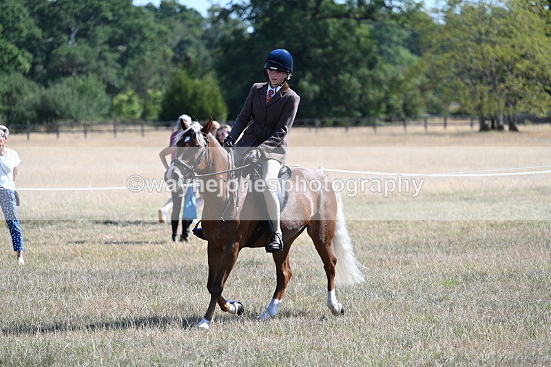 WJ7_4004 - Class 9 Mountain & Moorland Ridden