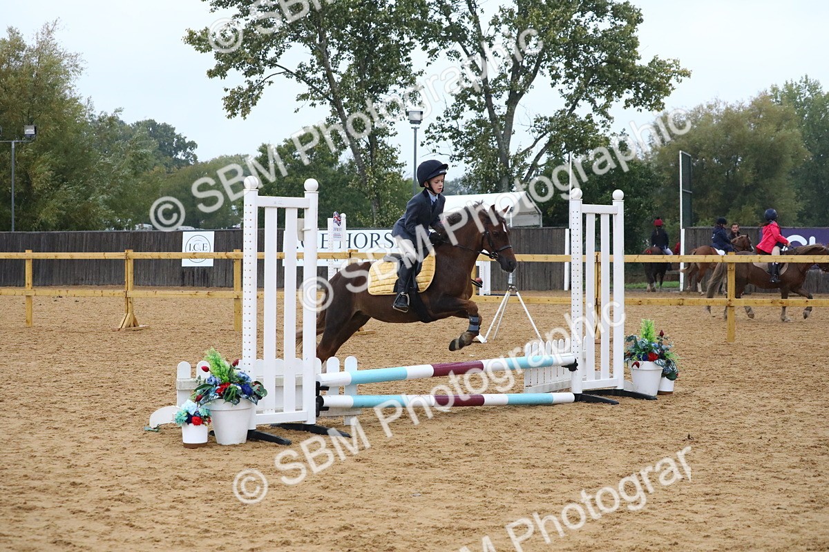 SBM_71496 - J4 - Mini Tour Junior Pony 45cm Championship