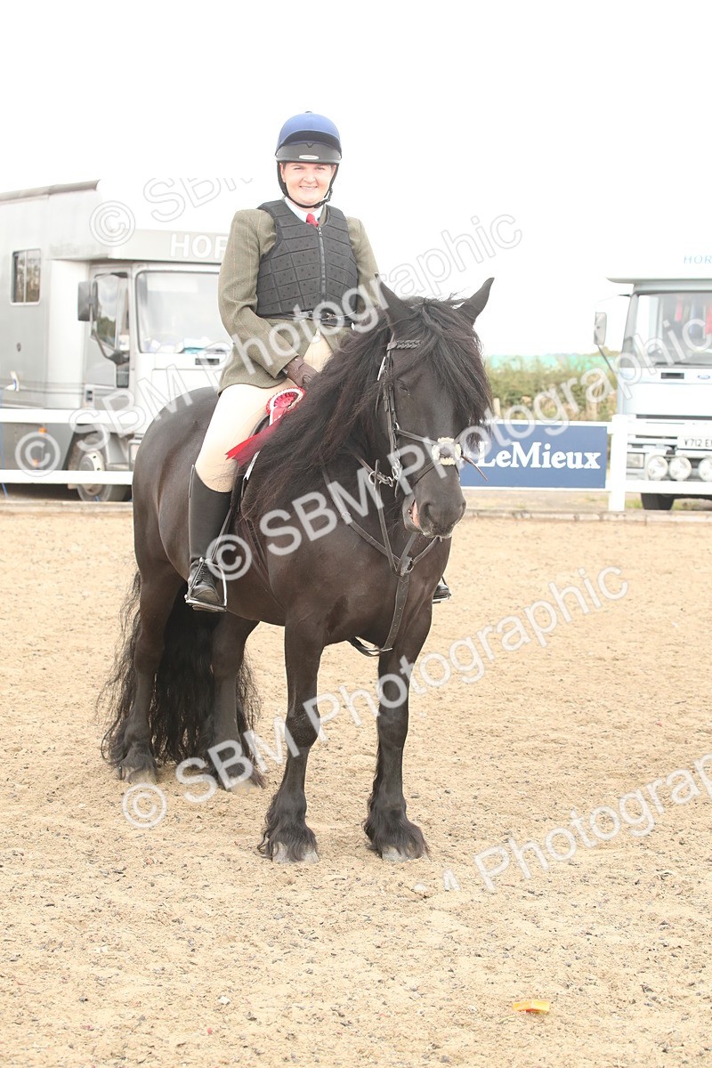 SBM_16689 - Class 507a - Working Veteran - 60cm (15-19)