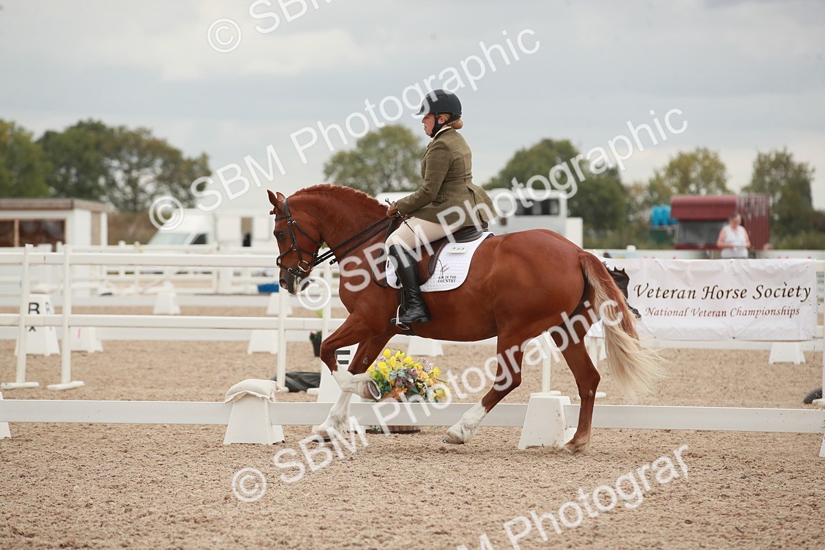 SBM_06105 - Class 33 - Elementary 1