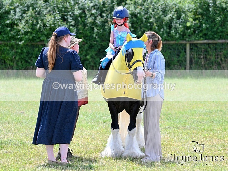 WJ7_7849 - Nancy And Churchill SORC summer show 21-06-26
