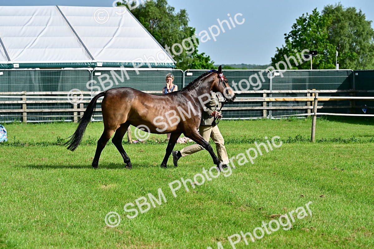 SBM_00996