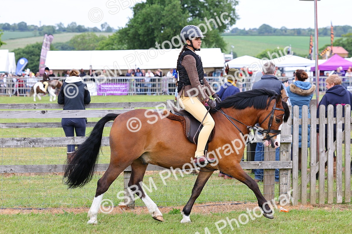 SBM_08504 - Class 42-43 - LIHS BSPS Heritage Working Sports Pony