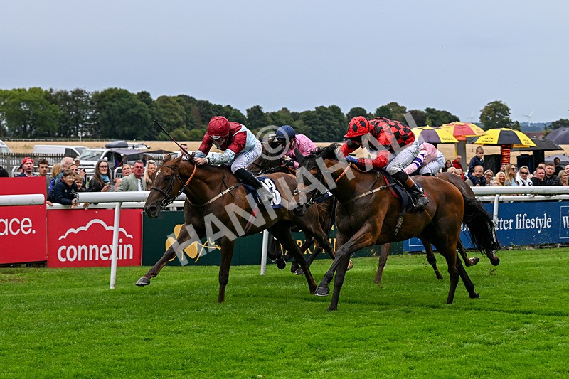290826-Race 5-Supreme Clarets-7398 - Race 5 4.10pm Churchill Tyres Handicap