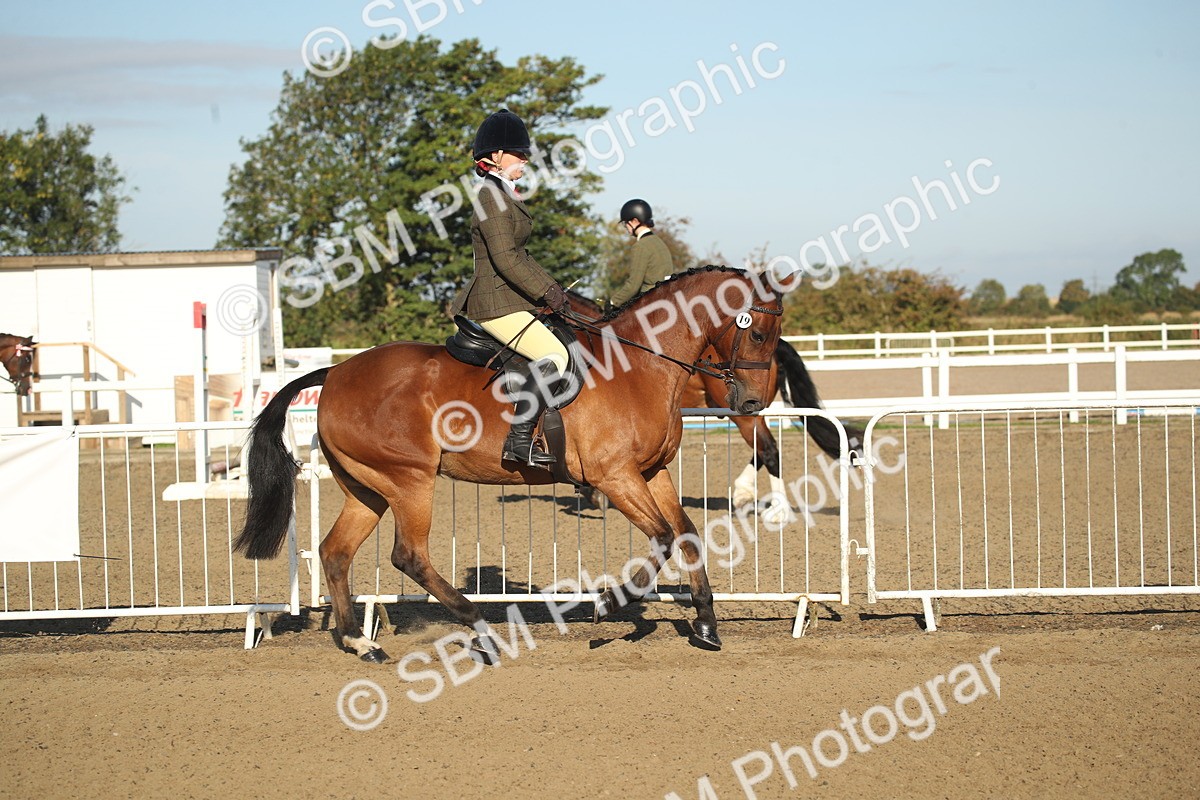 SBM_11527 - Class 502 - Riding Club Horse