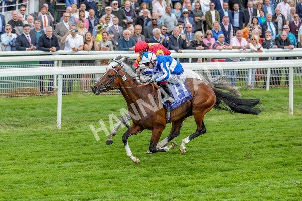 180523-Race 4-The Foxes-7378 - Race 4 3.35pm Al Basti Equiworld Dubai Dante Stakes