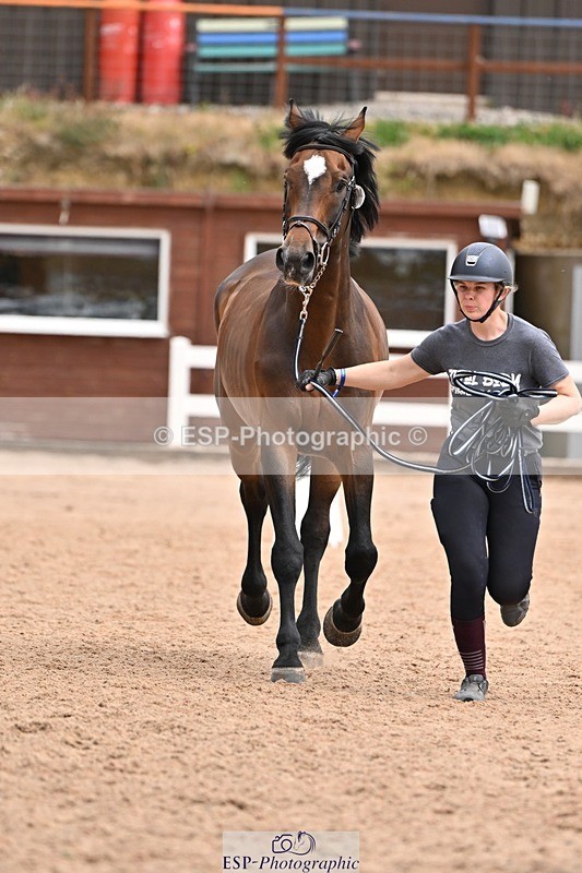 250716-145121-01449 - Trot Up 2.30 to 3.30