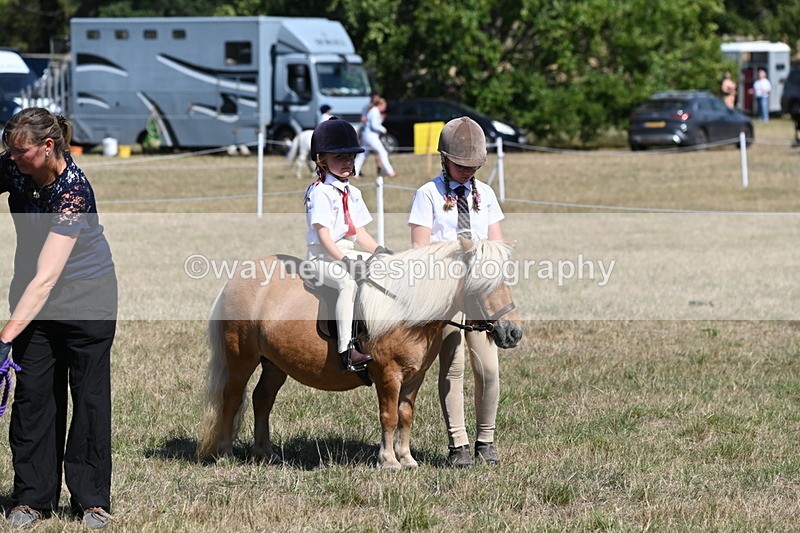 WJ6_9364 - Class 40 Cheekiest Pony/Horse