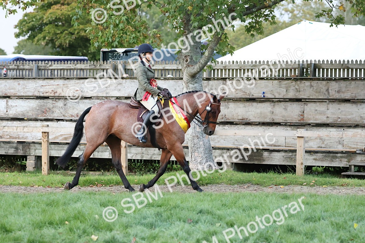 SBM_53410 - Super Supreme Championship (Sat)