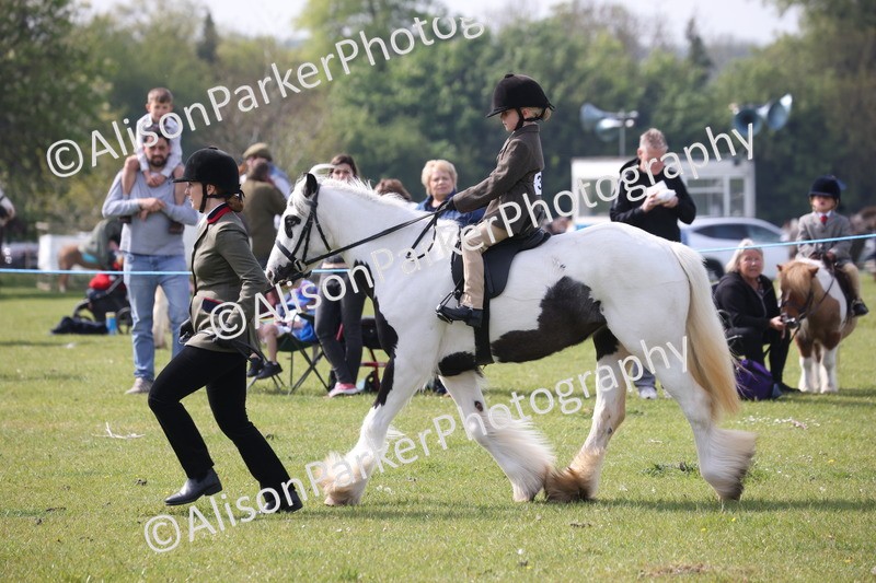 20260426-2547 - Class 31 - Leading Rein
