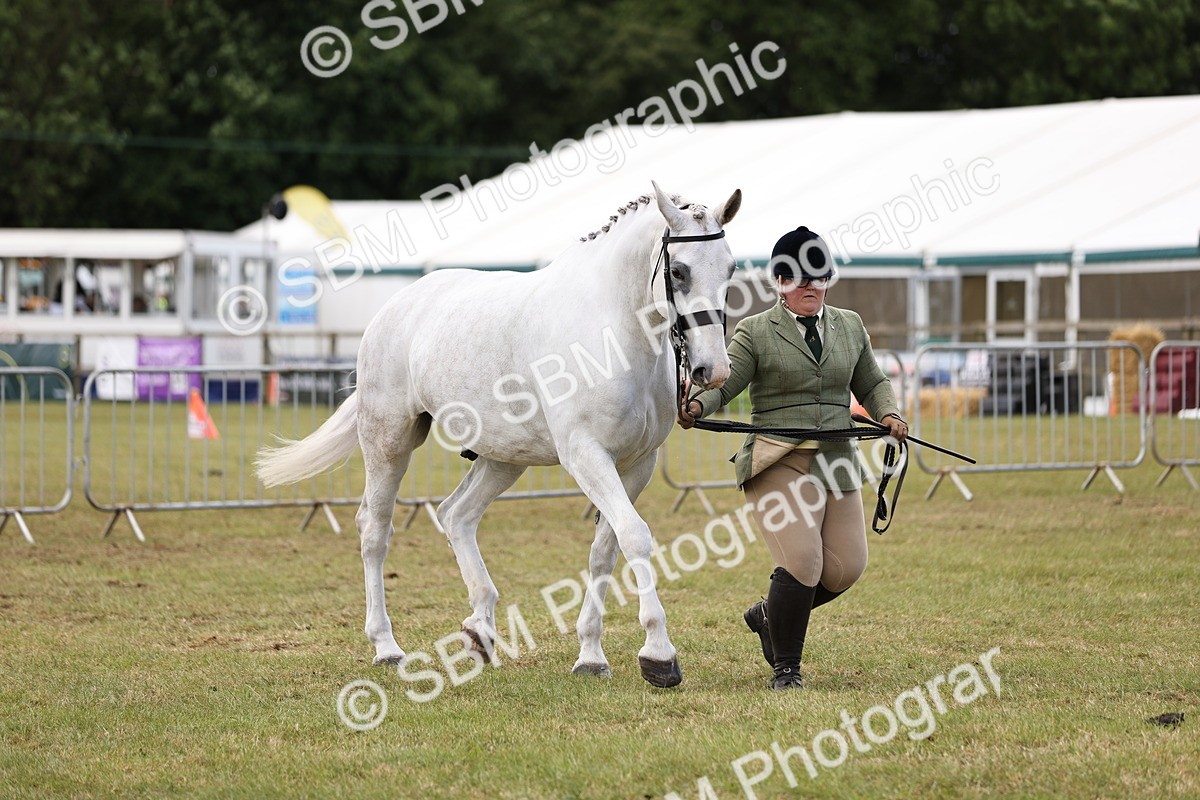 SBM_14740 - Class 88-89 - LIHS BSHA Rising Star of Ridden Hunter Type
