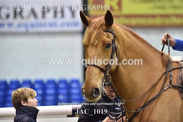 JAC_1019 - 14TH NOVEMBER 2017 - GEORGE & JAMES WHITAKER DEMO - MORRIS EC
