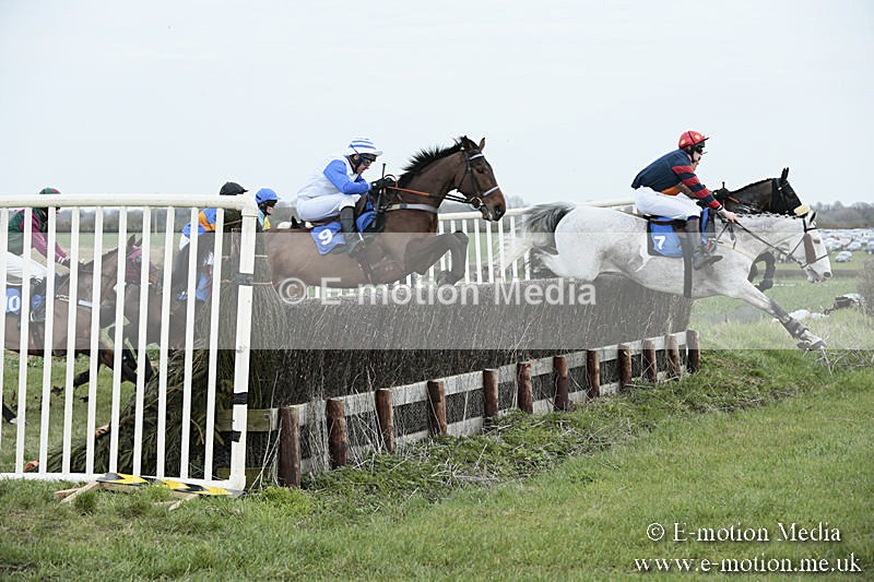 PtP 230319 91 - VWH Hunt Siddington Point-to-Point Racing 23/03/19
