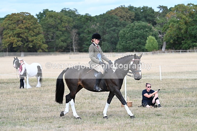 WJ7_7548 - Ridden Championship