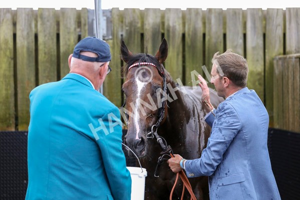 230824-Race 4-Bradsell-8479 - Race 4 3.35pm Coolmore Wootton Bassett Nunthorpe Stakes