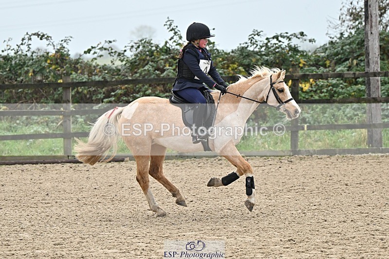 241110-100136-00163 - 40cm Showjumping