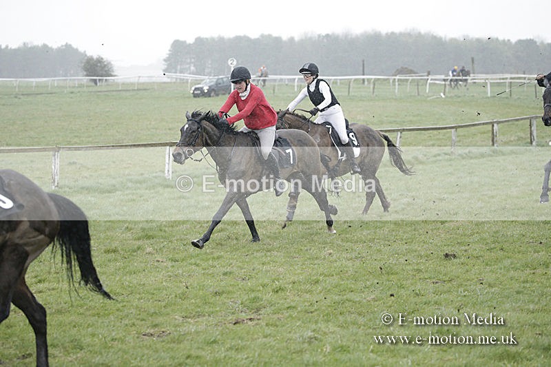 PtP 150320 0021 - New Forest Point-to-Point Larkhill 15/03/20