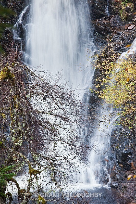 Corrimony waterfall - Woods Trees Gorges and Waterfalls
