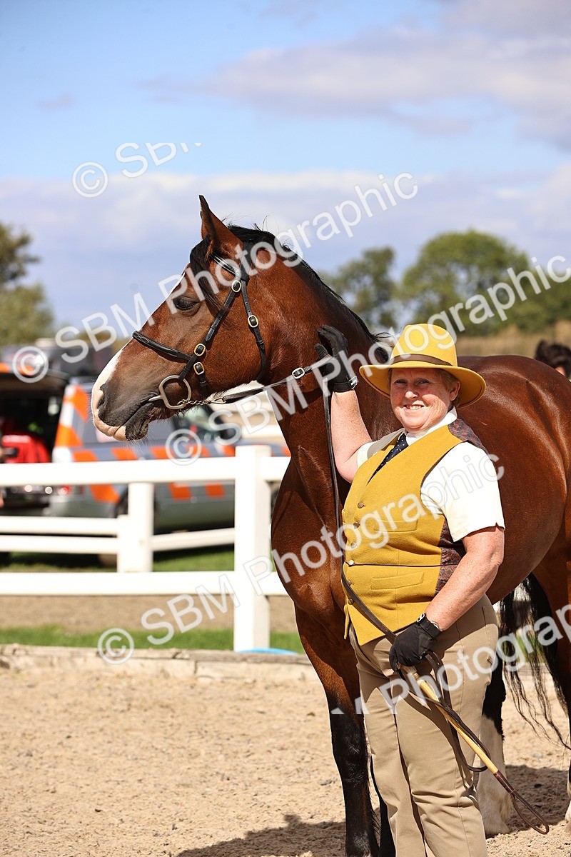 SBM_14306 - Class 411 - Prettiest Mare (IH OR Ridden) Adult