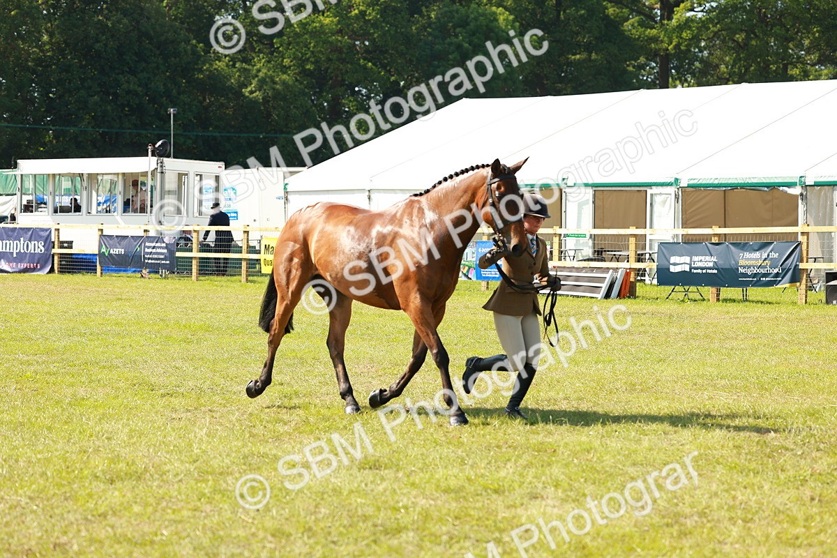SBM_12064 - Class 66-69 - RIHS Ridden Hunters Inc Small Hunter
