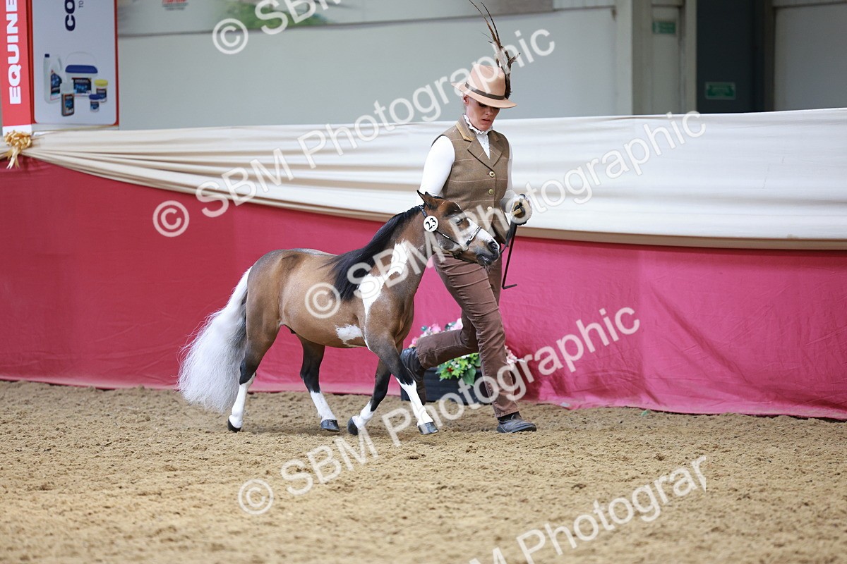 SBM_15718 - Class 110 - IH  Minature Horse