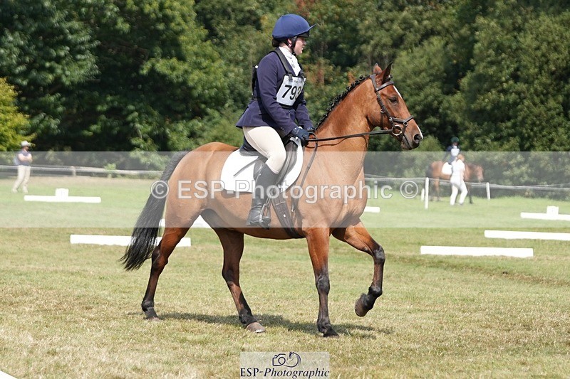 250823A-135656-31095 - Arena B