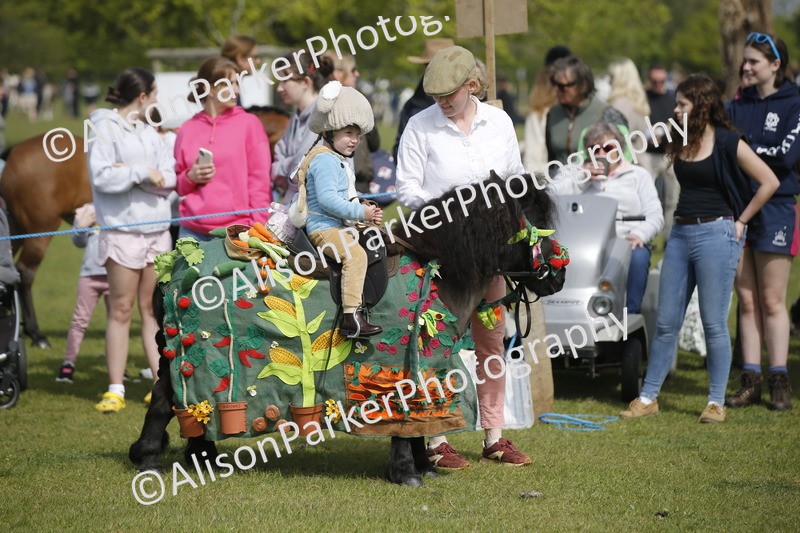 20260426-1230 - Class 6 - Fancy Dress