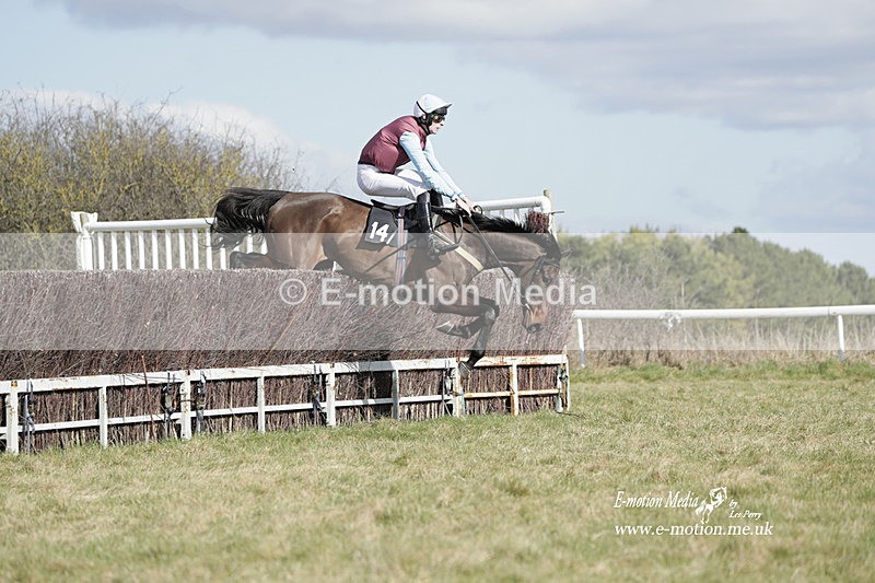 PtP 260223 469 - South & West Wilts Point-to-Point Larkhill 26/02/23