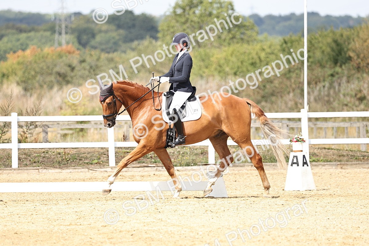 SBM_018354 - Class 16 - Novice 5 - 11.12-12.01