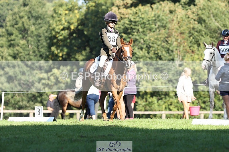 250823A-091826-25917 - Arena D