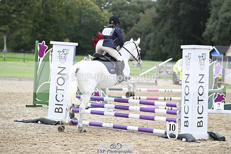 251005A-130546-04047 - Cls 08 Mini 70-75cm