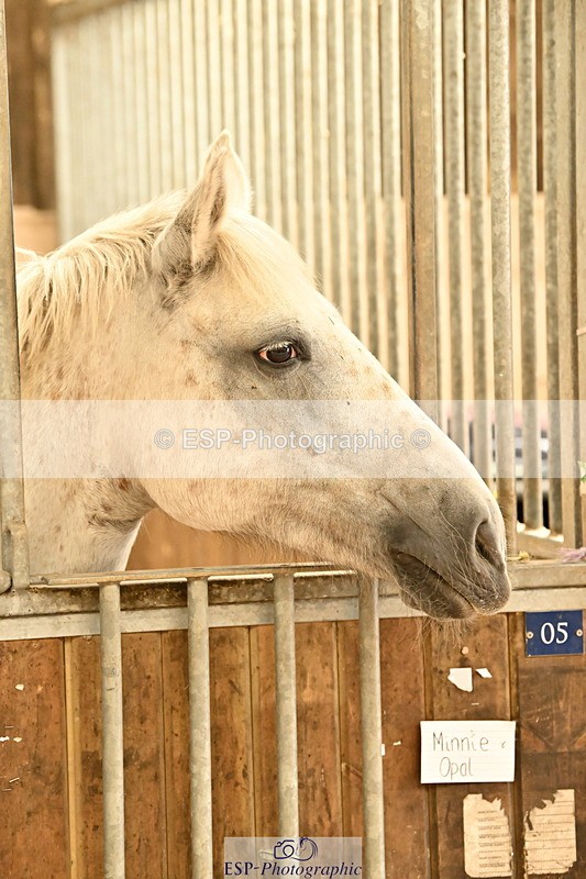 250821B-125302-00453 - Stable Shots and Group Photo