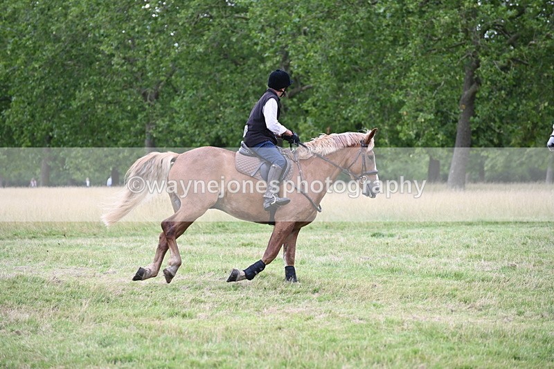 WJ6_4981 - Time at Jump 13:04 to 13:34