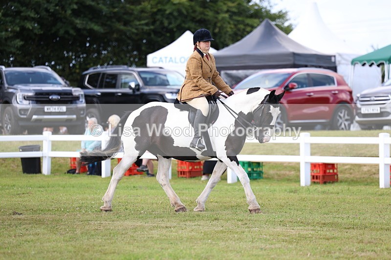 3E7A9642 - Class 5: Rising Star Lightweight/Heavyweight Cobs