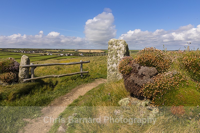  - Fishing Cove Gunwalloe