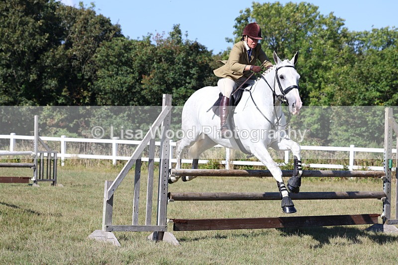 3E7A5851 - Class 5: Working Hunter 90cm