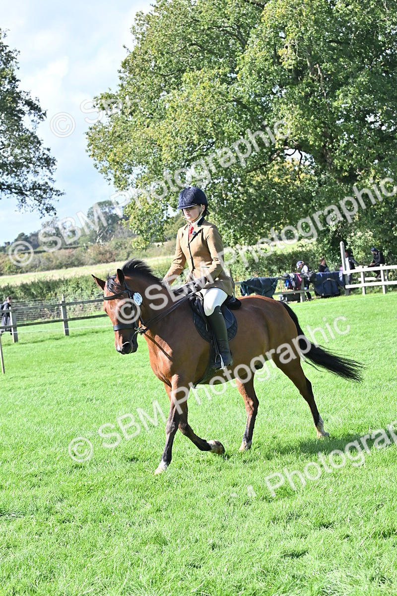 SBM_44581 - S13 - Pony Club Pony