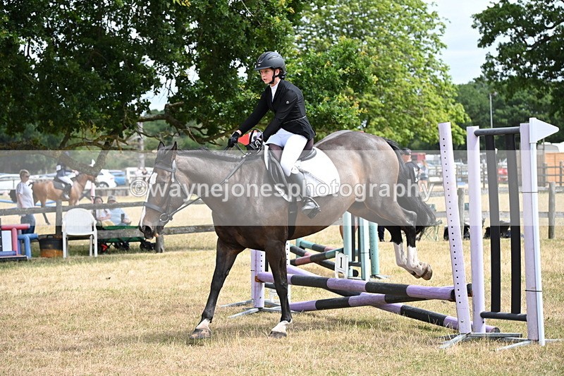 WJ6_5184 - Class 12 Minimus Jumping 45cm