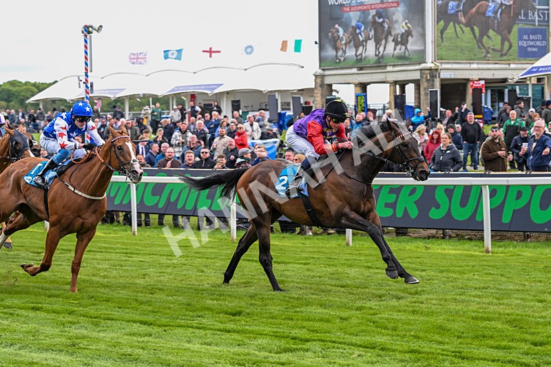 150526-Race 3-Warrant Holder-7553 - Race 3 2.55pm Support Macmillan Charity Raceday On 13 June Handicap