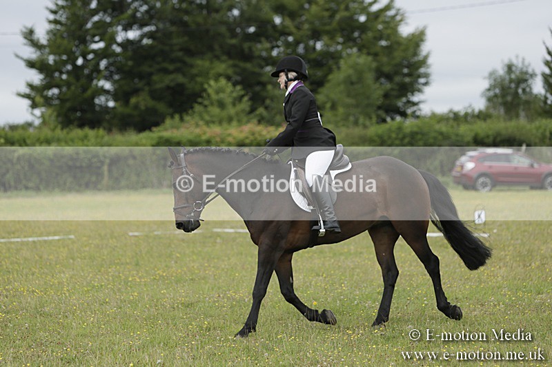 BVR160717-657 - Class 1 & 23a Dressage 16/07/17