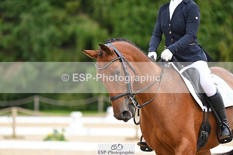 230813-172228-08645 - Cls 14 Medium Silver 16.45 to End