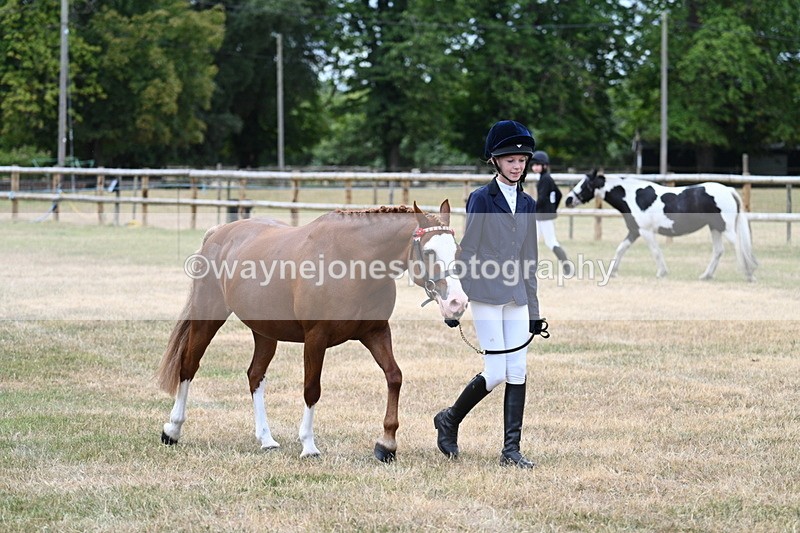 WJ7_1450 - Class 4 Prettiest Mare up to 14.2hh in hand